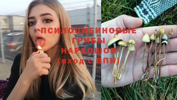 тгк Богородицк