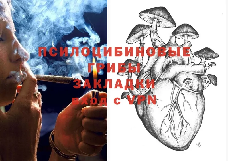 купить закладку  Новозыбков  Псилоцибиновые грибы MAGIC MUSHROOMS 