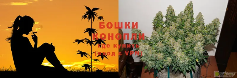 Шишки марихуана THC 21%  Новозыбков 